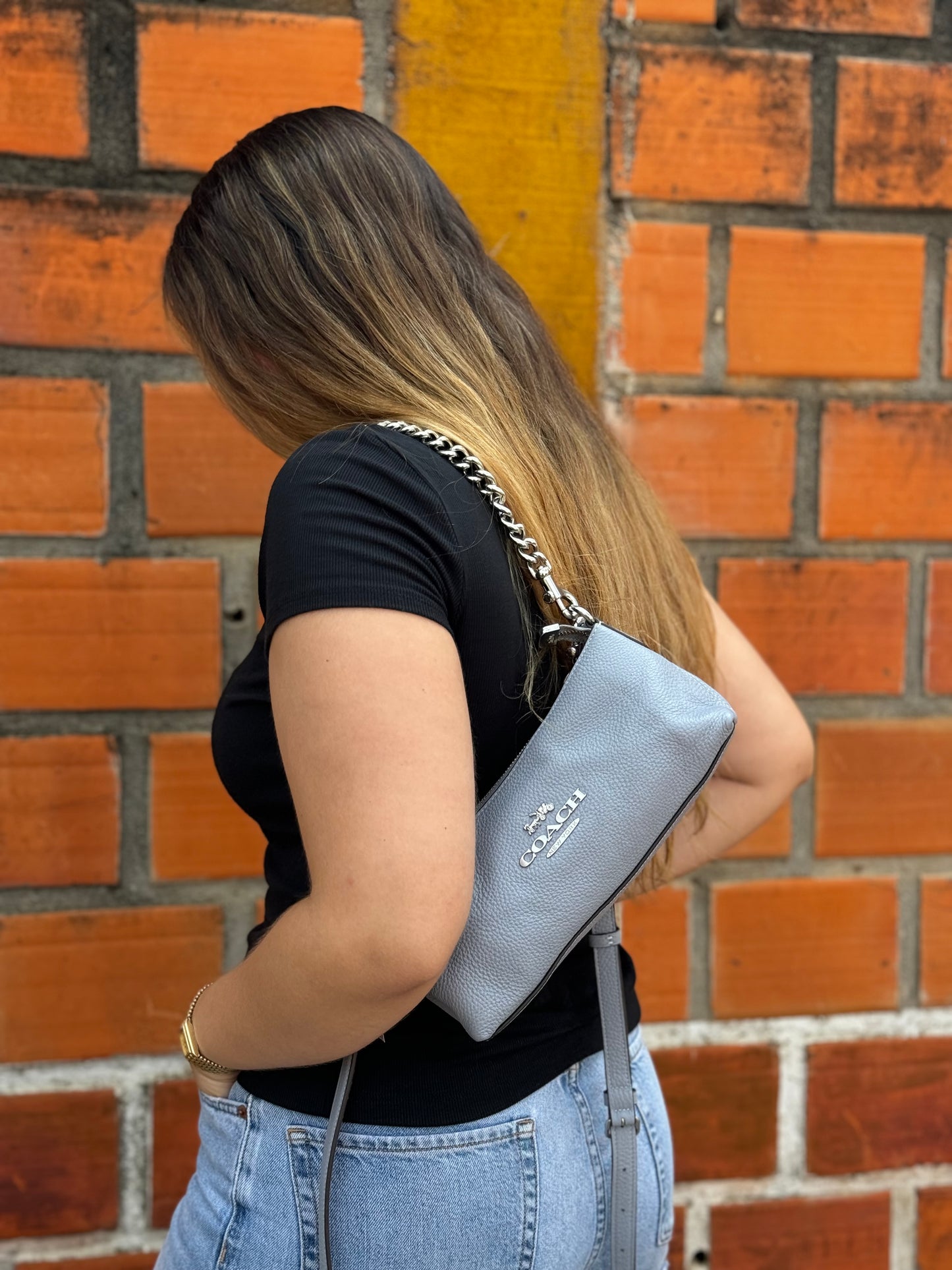 Charlotte Shoulder Bag Coach