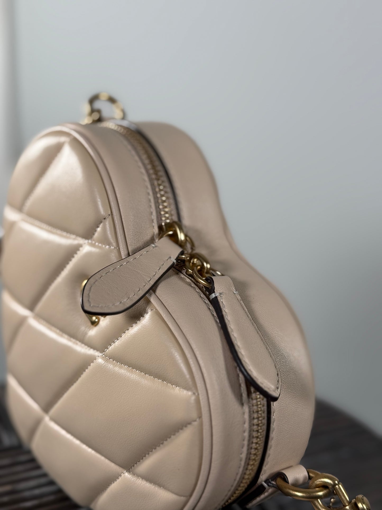 Heart Crossbody Coach