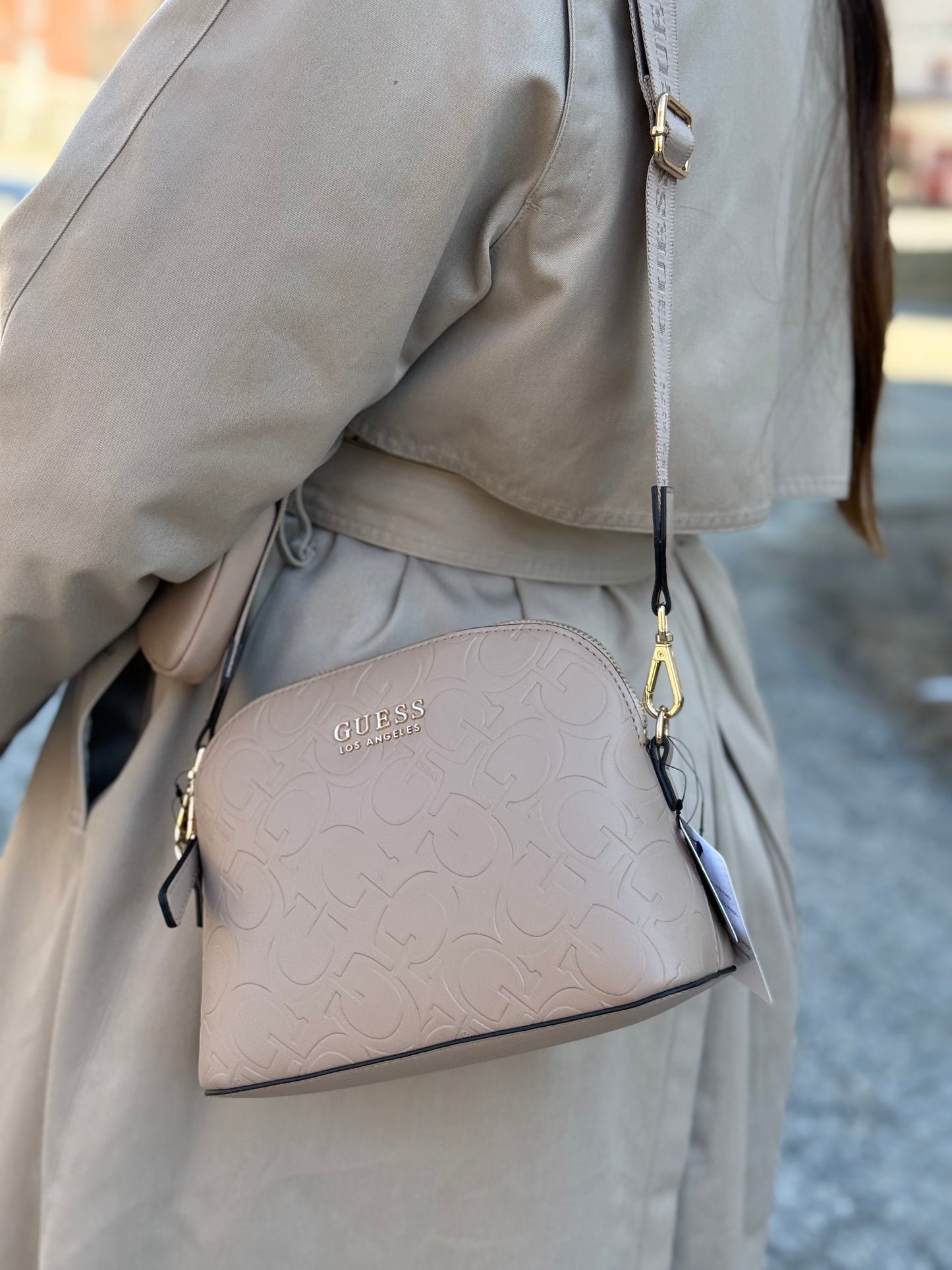 Morral Guess