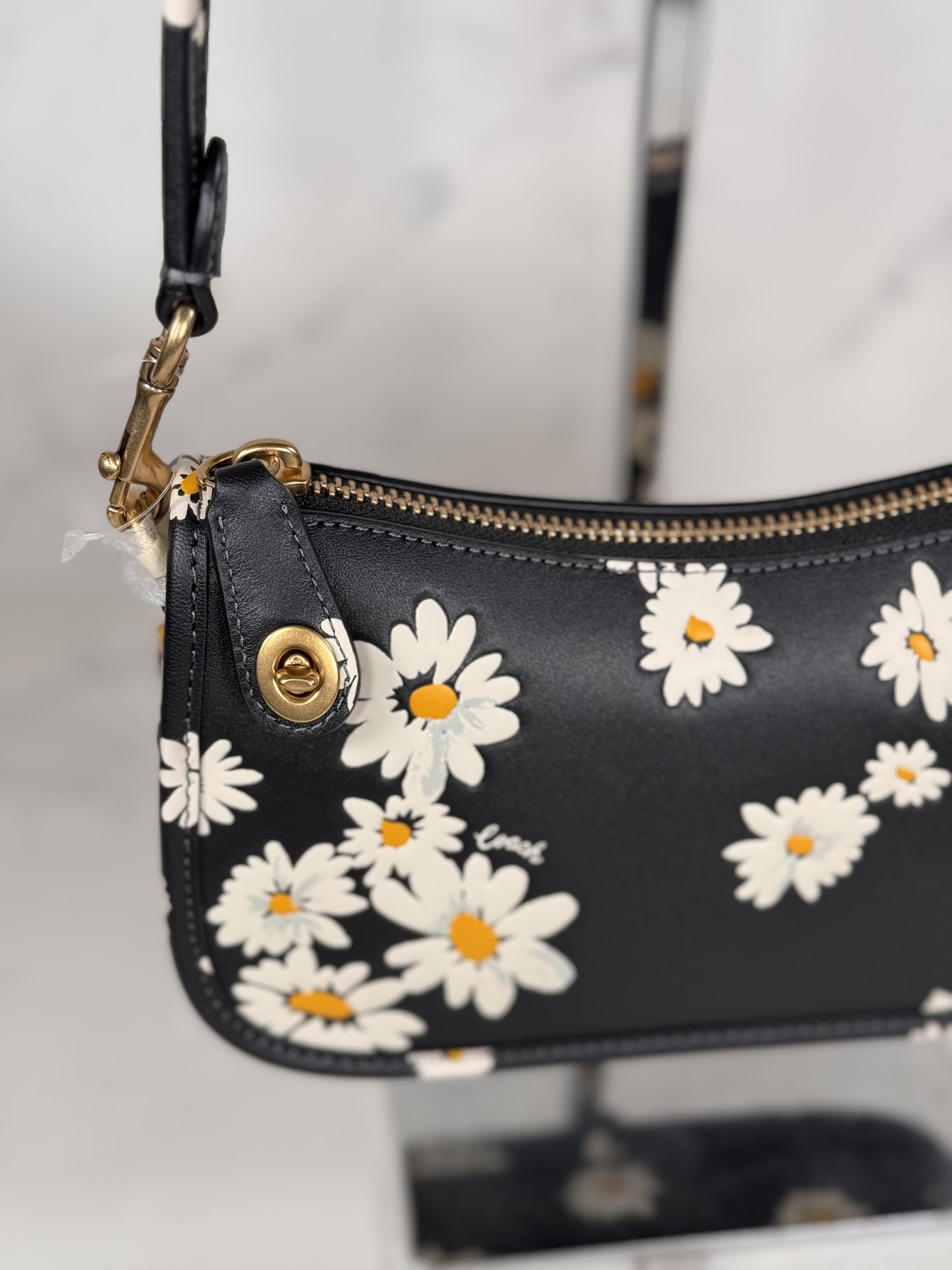 Swinger Bag 20 Coach
