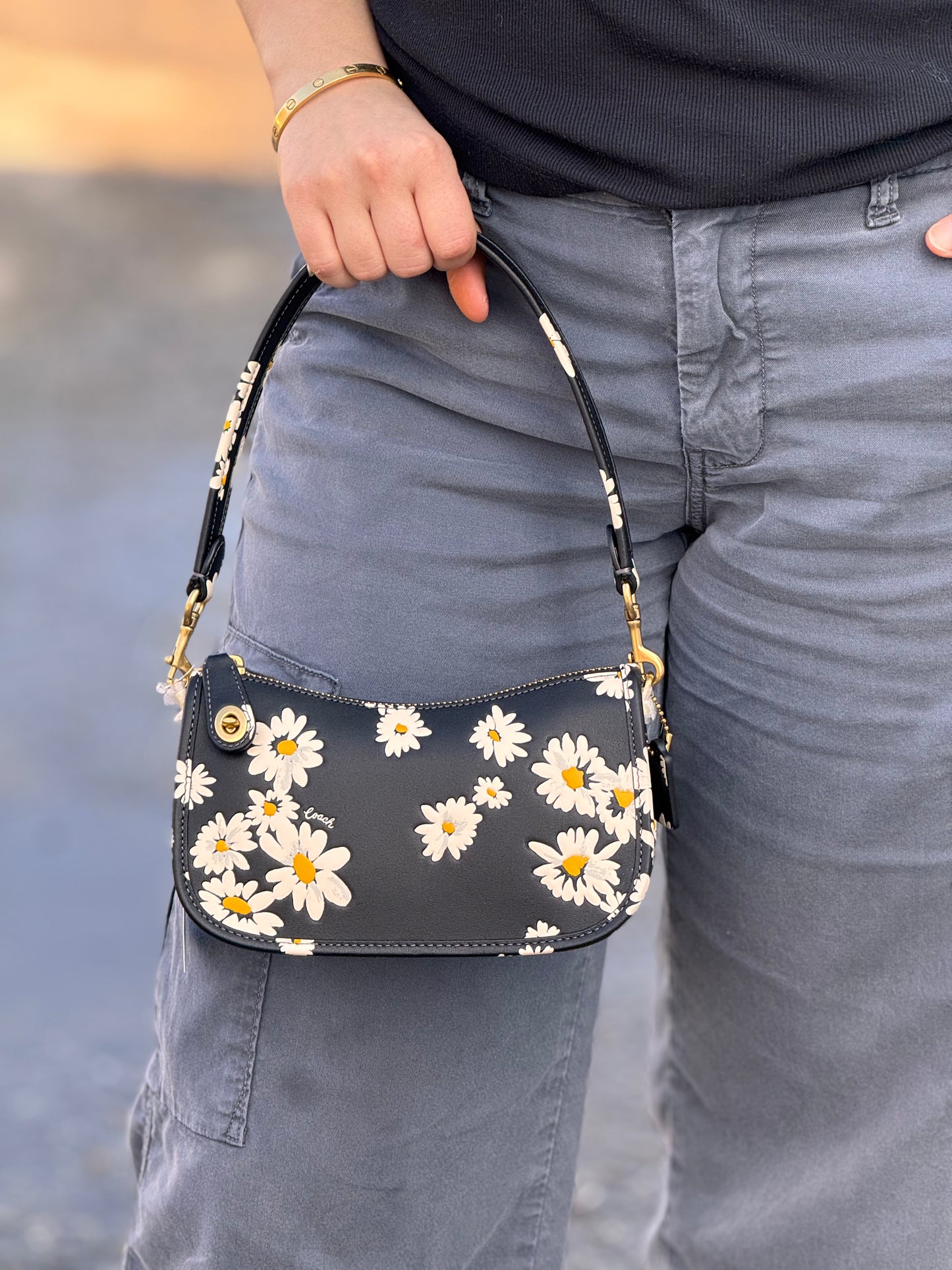 Swinger Bag 20 Coach